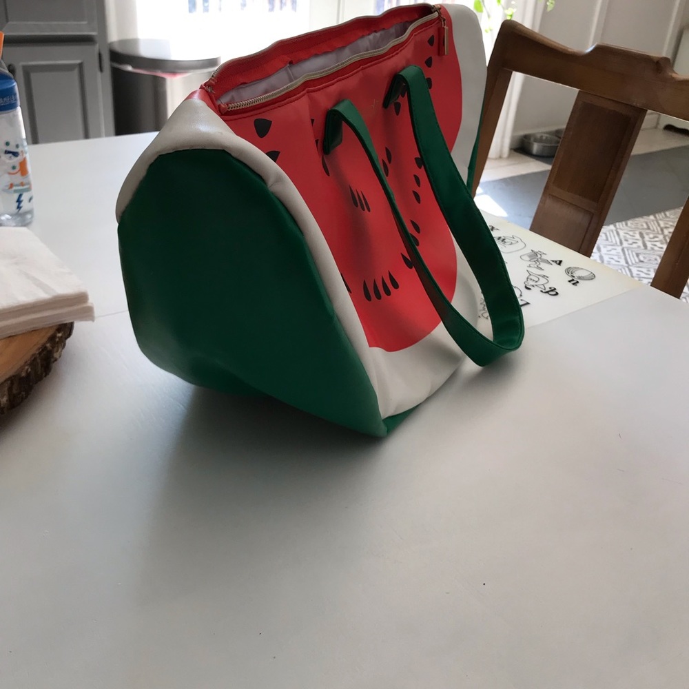 Ban.do watermelon insulated wedge bag